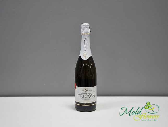 Sweet Cricova Champagne photo